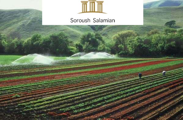 Easement Rights and Usufruct Rights