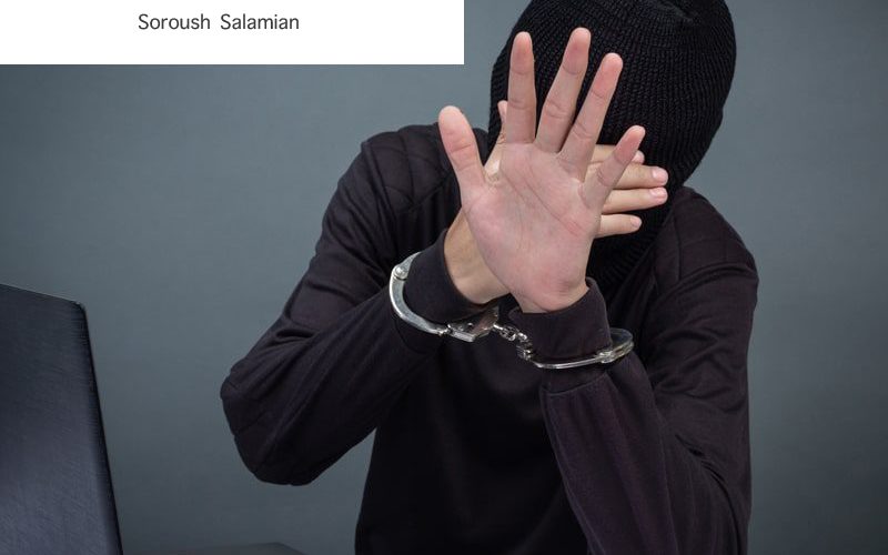 What Are Recidivism and Multiplicity of Crimes?