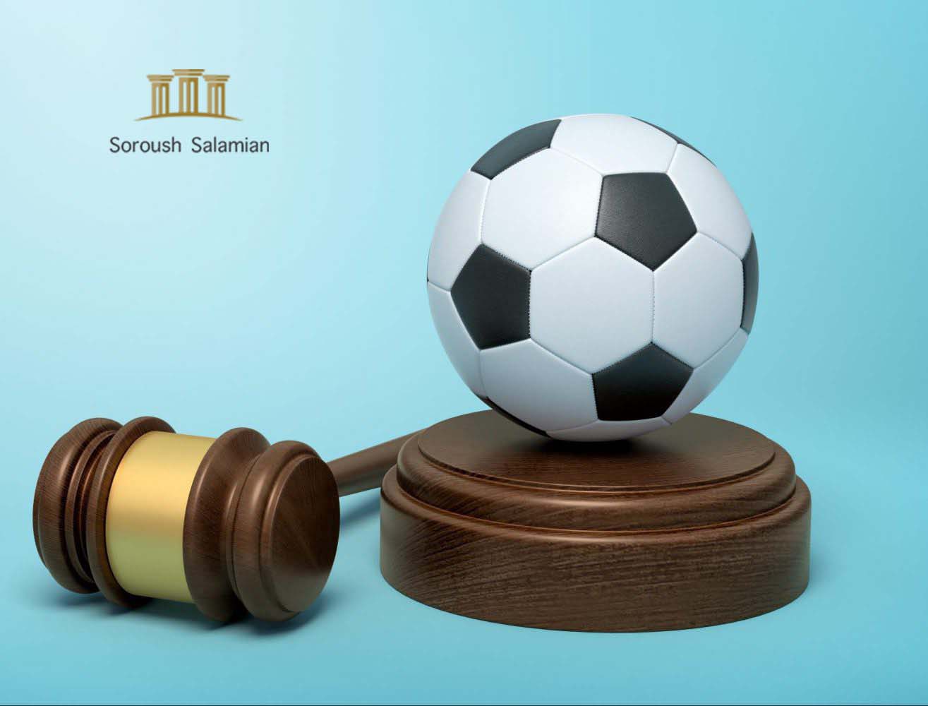 Introduction to the Legal Environment in Sports