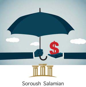 Credit Insurance and Bank Guarantees