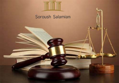 Article 100 Municipality Commission