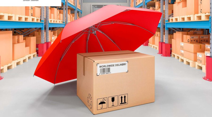 Marine Cargo Insurance in Iranian Law