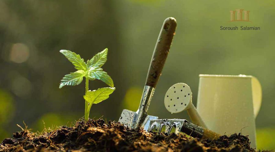 Facilities Granted Through Muzara’ah and Istisna’