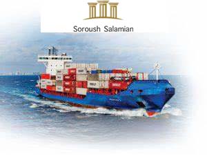 Reasons for Opposition to the International Registration of Ships