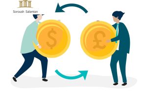 Key Provisions of a Share Transfer Agreement