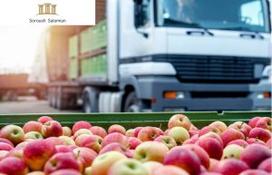 How Can Perishable Cargo Disputes Be Prevented?