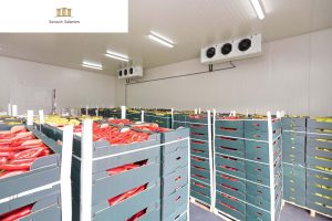 The Role of Technology in Reducing Liability in Refrigerated Cargo Transportation