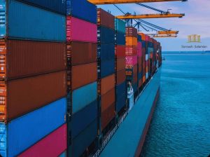 The Role of the Carrier in the Customs Clearance Process