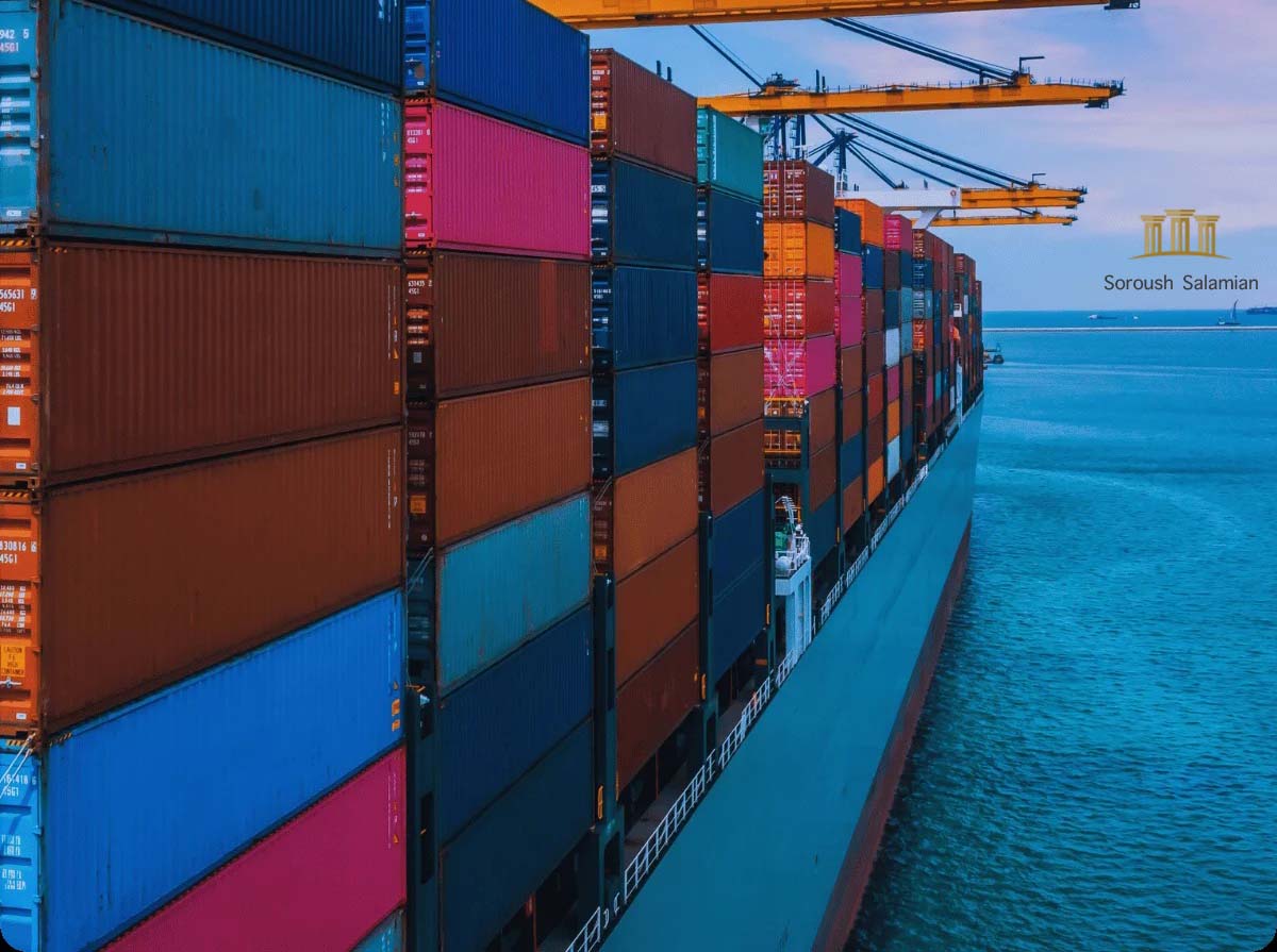 The Role of the Carrier in the Customs Clearance Process
