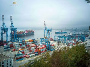 The Role of Customs Authorities and Third Parties in Customs Delays