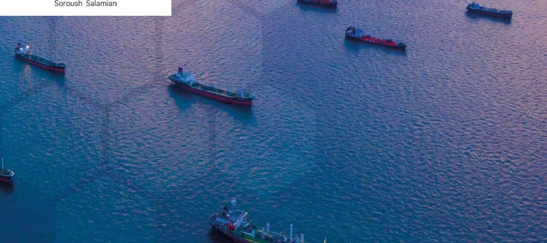 What Is the Role of P&I Clubs in Maritime Claims?