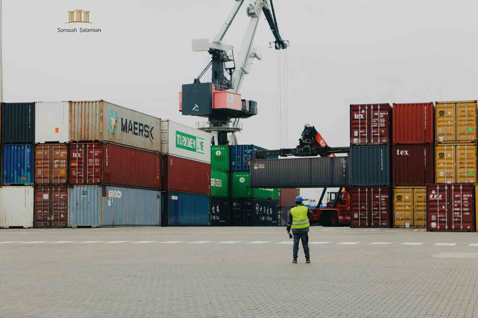 What Issues Are Particularly Important in International Transportation Disputes?