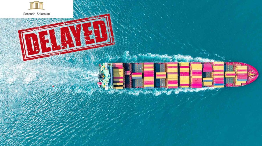 Legal Actions in Cases of Cargo Delay