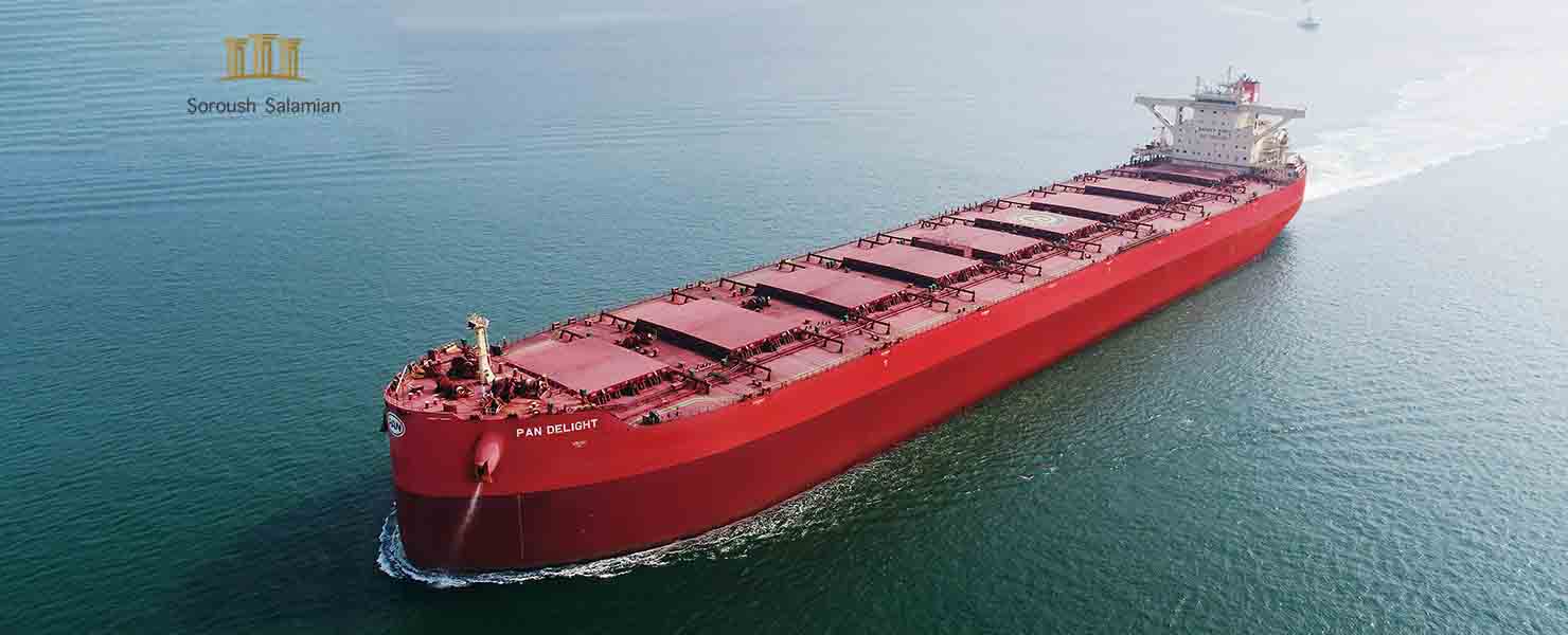 Parties to a Bulk Cargo Carriage Contract