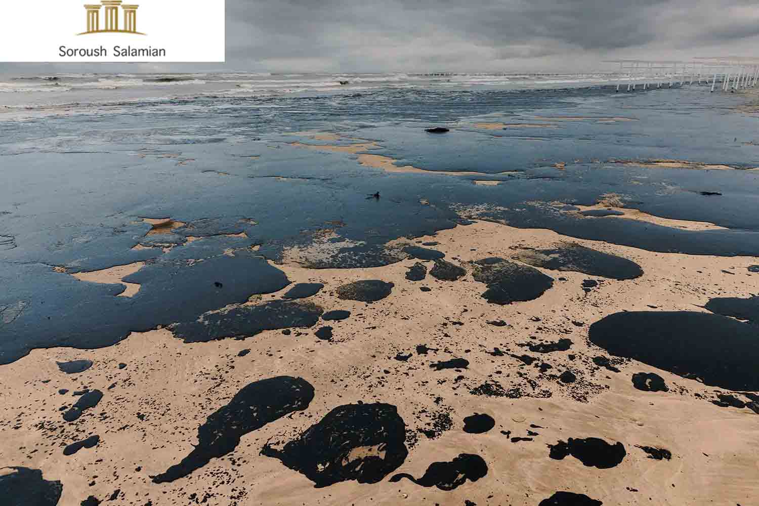 Shipowner Liability for Environmental Damage